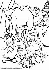 Colouring Wildlife Camels Bactrian sketch template
