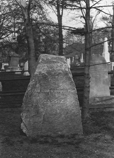 photograph collections of mount auburn cemetery mount