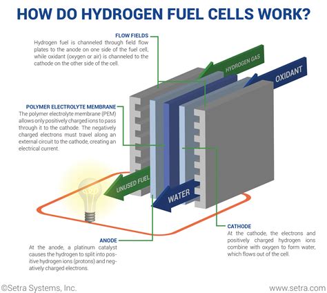 hydrogen fuel cell