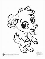 Coloring Baby Pages Animals Animal Cute Printable Print Cartoon Crayola Goat Printables Kids Drawings Colouring Touch Magic Drawing Color Sheets sketch template