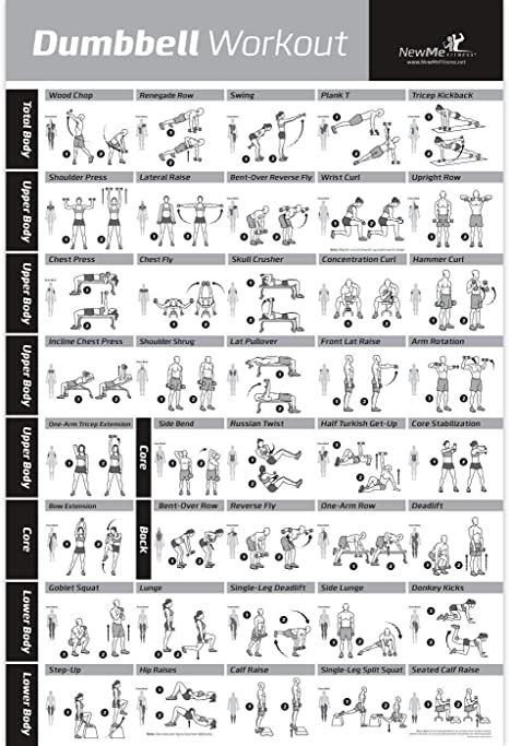 dumbbell workout exercise poster laminated strength