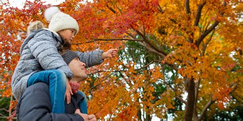 leaf peeping places