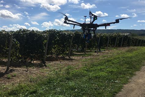 rit professor developing drone imaging systems   farmers monitor grapevine nutrients rit
