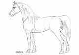 Horse Shire Coloring Pages Lineart Arabian Mare Printable Kids Getcolorings Getdrawings Favourites Add sketch template