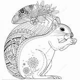 Squirrel Coloring Zentangle Pages Adorable Stock Illustration Cartoon Vector Categories Getcolorings sketch template