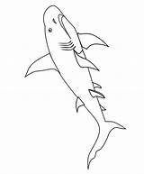 Shark Coloring Pages Printable Template Kids Sharks Color Print Colouring Templates Cartoon Mako Lantern Dwarf Simple Bestcoloringpagesforkids Choose Board sketch template