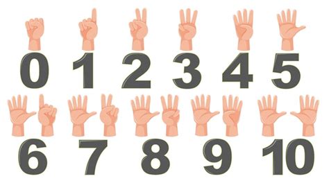 premium vector math count finger gesture