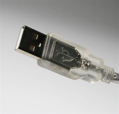 fileusb typea plugjpg wikimedia commons