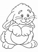 Colorat Iepure Desene Planse Domestice Animale Iepurasi Iepuri Rabbits Afinal Páscoa sketch template