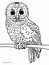 Owl Coloring Pages Baby Cute Realistic Printable Print Color Owls Kids Getcolorings Cool2bkids Template Pa sketch template
