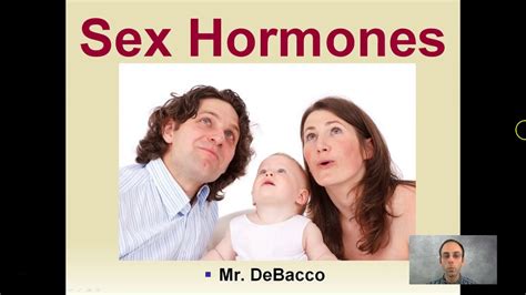 Sex Hormones Youtube