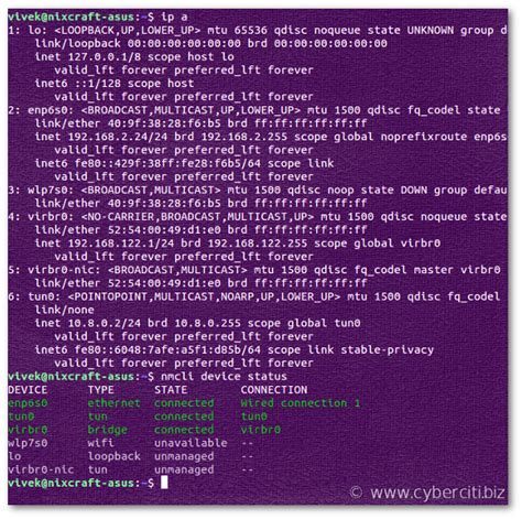 linux show display  network interfaces nixcraft