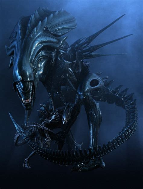 Xenomorph Queen Queen Alien Monster Wiki A Reason To