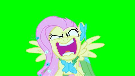 fluttershy you re going to love me green screen