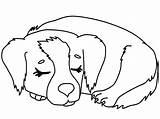 Coloring Puppy Pages Print Christmas sketch template