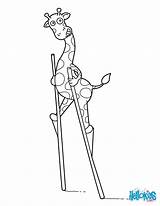 Stilts Giraffe Coloring Pages Hellokids Animals Color Animal Print African sketch template