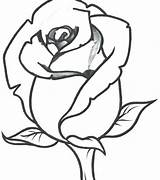 Traceable Drawings Roses Flowers Flower Coloring Drawing Clipart Clip Pages Cliparts Cartoon Characters Printable Uncoloured Clipartbest Paintingvalley Detailed Collection sketch template