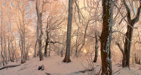 peri orman kar süpürüldü telefonunuz için güzel doğal manzara resimleri online izle