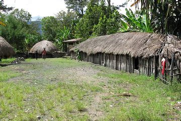 Rumah adat Suku Goroka, Papua, rumah adat papua barat disebut rumah kaki seribu