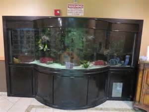 1000 Gallon Salt Water Aquarium fully loaded ? $5000 (Rainbow/95 