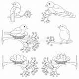 Branches Nests sketch template