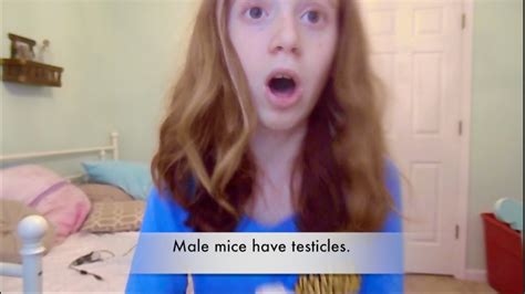 how to determine the sex or gender of your mice youtube