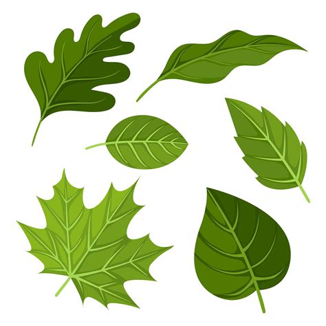 green leaves clipart set vector  vector art  vecteezy