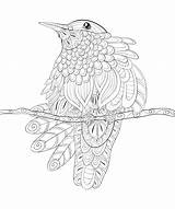 Uccello Impagina Sveglio Rilassarsi sketch template