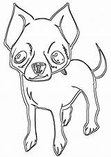 Chihuahua Coloring Pages sketch template