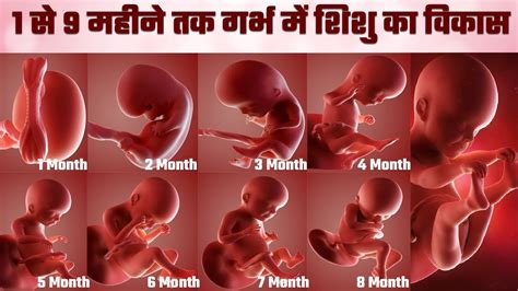 month  month baby development   womb  se  mahine tak garbh ka vikas
