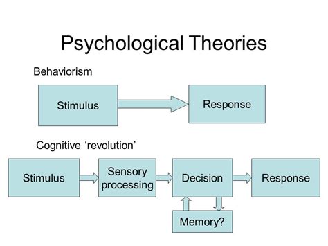 psychological theory definition  overview