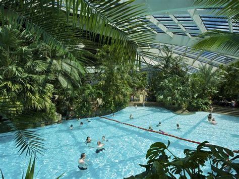 wood life   years  center parcs changed uk holidays    independent