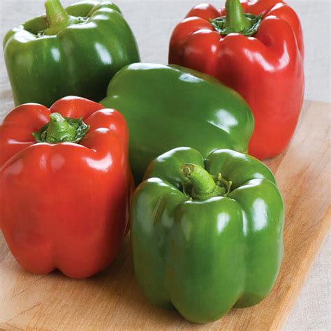 Bunker Green Bell Pepper Bonnie Plants