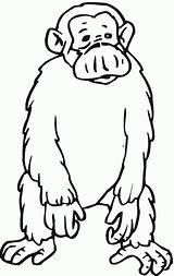Chimpanzee Chimpance Chimpances Triste Tristes Animados Popular Vicoms sketch template