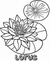 Lotus Topcoloringpages Coloringfolder sketch template
