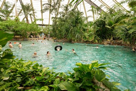 center parcs heropent alle subtropische zwembaden  belgie themeparkfreaks