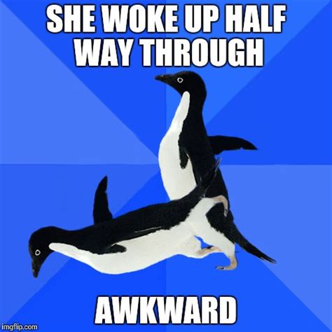 248 best socially awesome awkward penguin images on pholder penguins