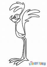Boomerang Looney Tunes sketch template