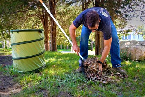 How To Care For A Lawn Hirerush Blog