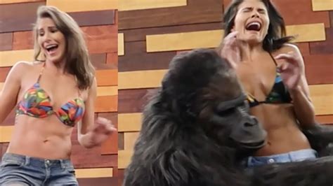 the famous gorilla prank youtube