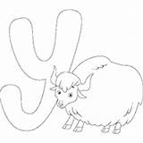 Cartoon Animals Alphabet Coloring Alphabets sketch template