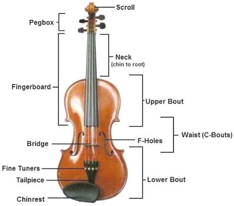 violin history  latest developments