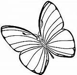Kolorowanki Motyle Motyl Szablony Stylowi Swojej sketch template