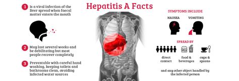 Hepatitis A Hubpages