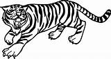 Tiger Easy Drawing Coloring Pages Printable Getdrawings sketch template