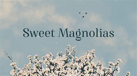 sweet magnolias season   official opening credits intro