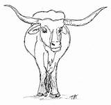 Longhorn Drawing Bull Cow Cows Longhorns Riding Cartoon Drawings Cattle Getdrawings Cliparts Animed Paintingvalley sketch template