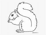 Squirrel Outline Clipart Webstockreview Transparent Clipground sketch template