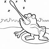 Frogs Rana Rane Stampare Disegnare Atuttodonna sketch template
