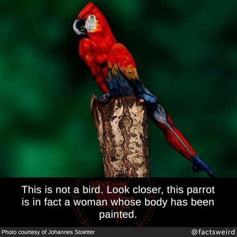 national geographic johannes stoetter parrot facts  image human body art wtf fun facts